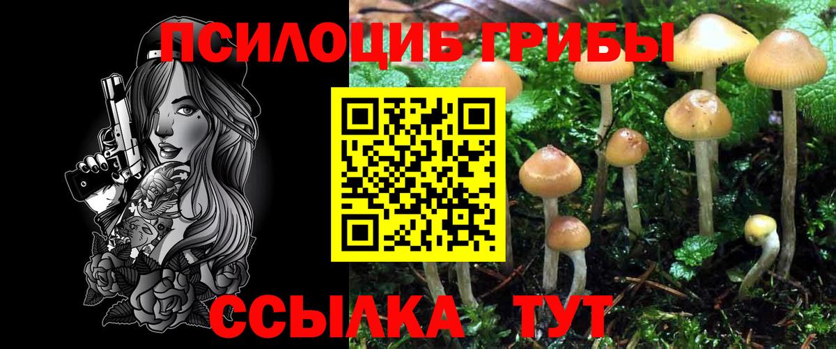 Галлюциногенные грибы Psilocybine cubensis  Галлюциногенные грибы Cubensis  Вход с VPN  Павловский Посад 