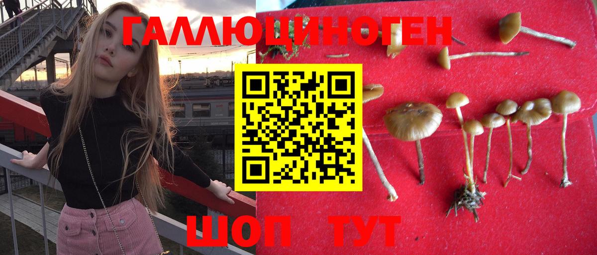 Псилоцибиновые грибы прущие грибы Павловский Посад